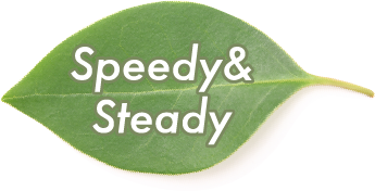 Speedy＆Steady